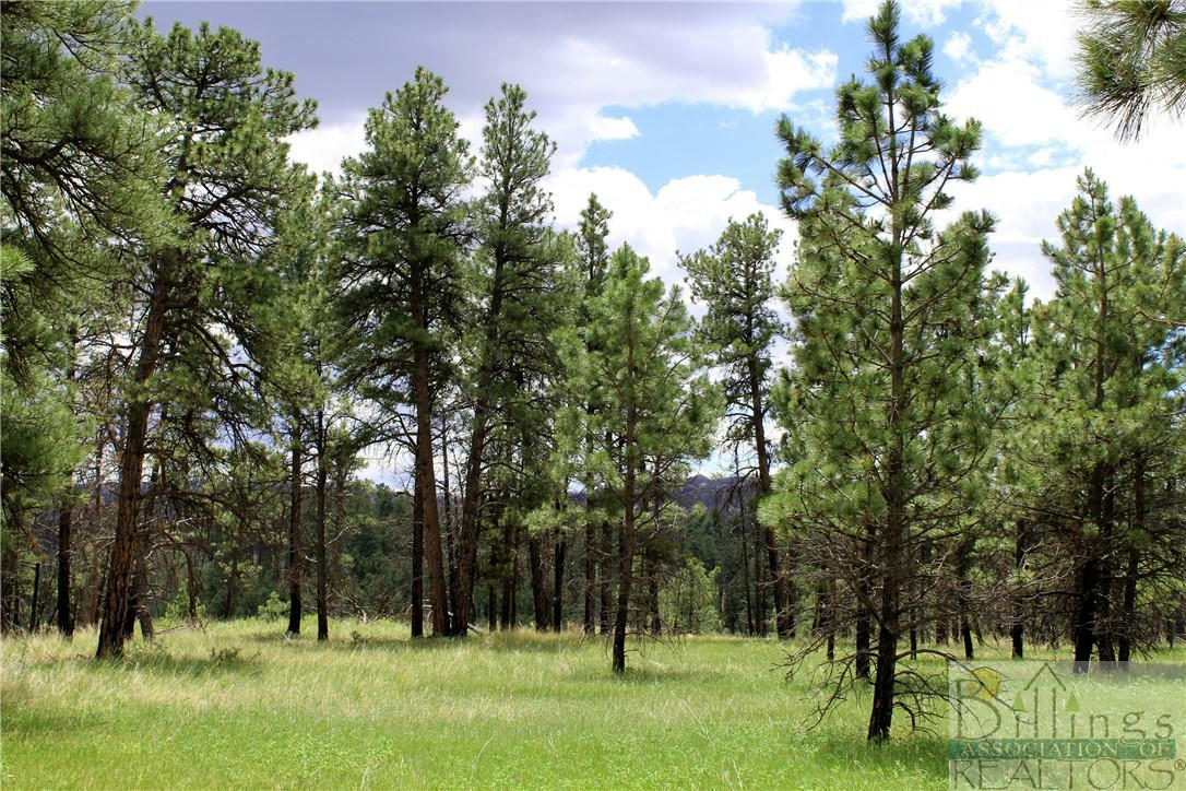 TBD DEER LANE, ROUNDUP, MT 59072, photo 1 of 36