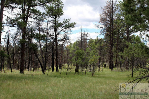 TBD DEER LANE, ROUNDUP, MT 59072, photo 3 of 36