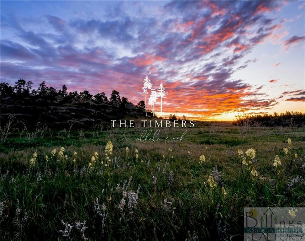 LOT 35 OLIVE LANE, BILLINGS, MT 59105, photo 1