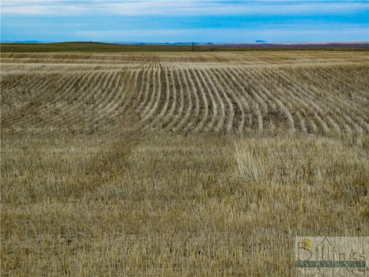 NHN '320 ACRES' 220 ROAD HAVRE, MT 59501, OTHER-SEE REMARKS, MT 59501, photo 2 of 29