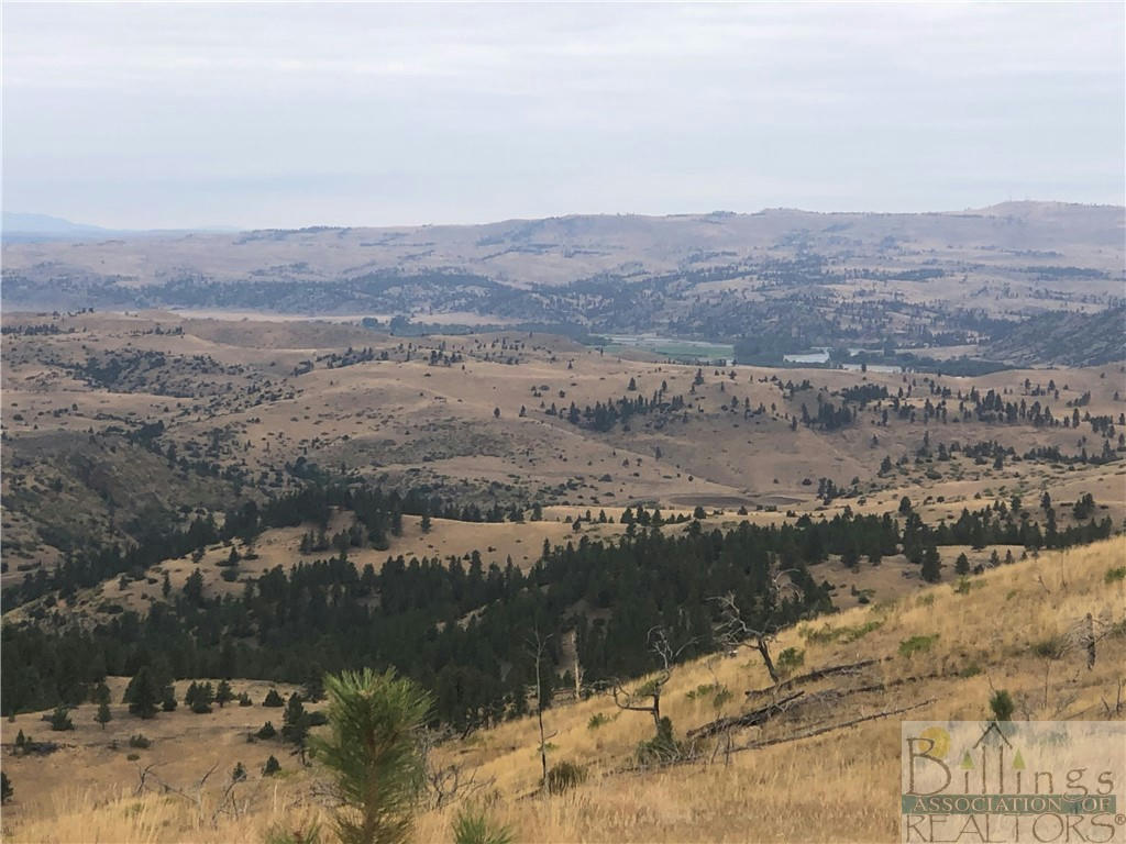 TBD HUMP CREEK ROAD, REED POINT, MT 59069, photo 1 of 36