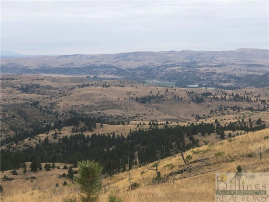 TBD HUMP CREEK ROAD, REED POINT, MT 59069 - Image 1