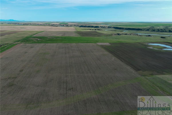NHN '320 ACRES' 220 ROAD HAVRE, MT 59501, OTHER-SEE REMARKS, MT 59501 - Image 1