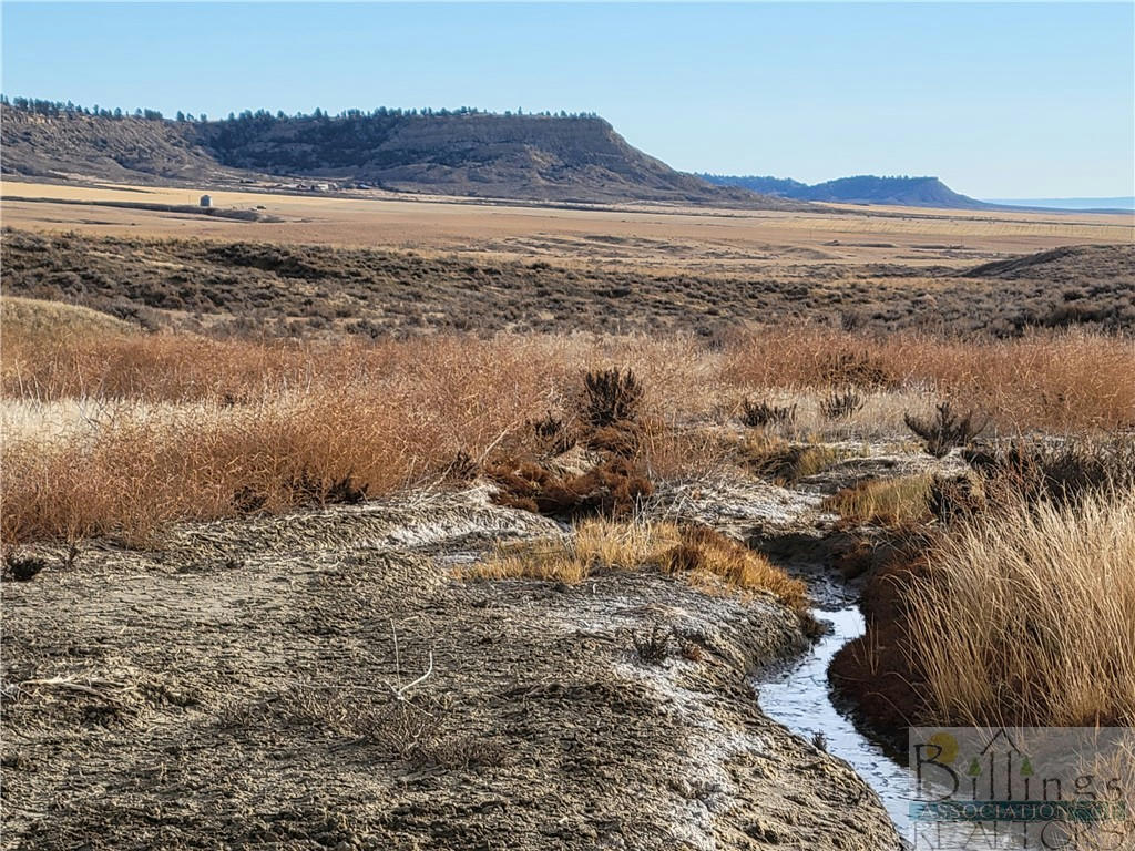 WRR-2 SHEPHERD ACTON RD, BILLINGS, MT 59102, photo 1 of 18