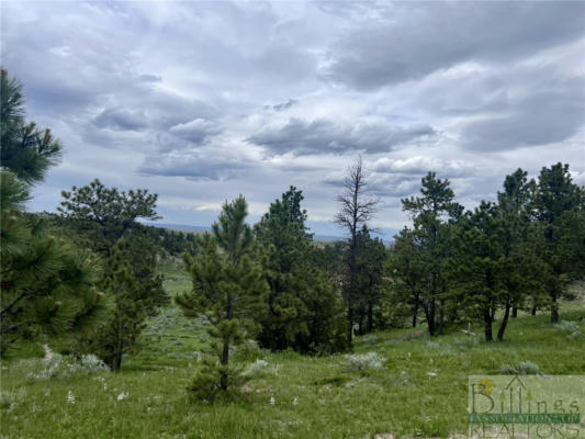 TF-7 DAVIS RD, MILES CITY, MT 59301 - Image 1