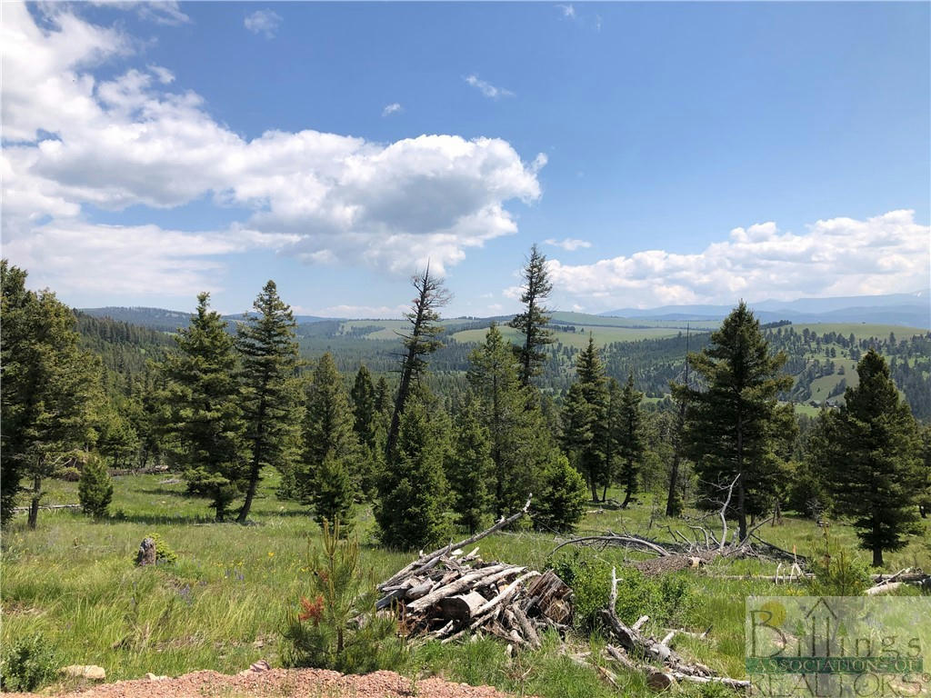 TBD MOOSE SPRINGS, OTHER-SEE REMARKS, MT 59858, photo 1 of 28