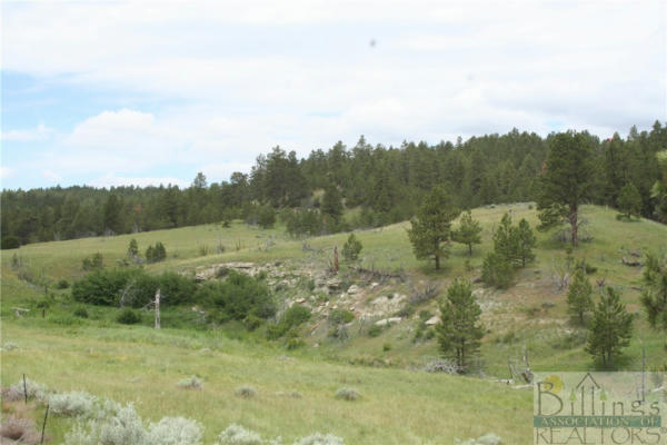 147 HAYSTACK COULEE RD., COLUMBUS, MT 59019 - Image 1