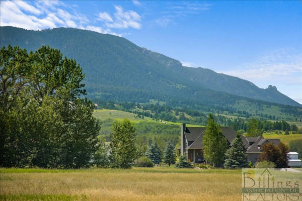 LOT 8A CREEKSIDE, RED LODGE, MT 59068 - Image 1