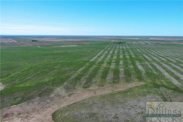 NHN '780 +/- ACRES' CHICOINE SCOBEY, MT ROAD, OTHER-SEE REMARKS, MT 59253, photo 4 of 30