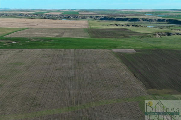 NHN '320 ACRES' 220 ROAD HAVRE, MT 59501, OTHER-SEE REMARKS, MT 59501, photo 2 of 36