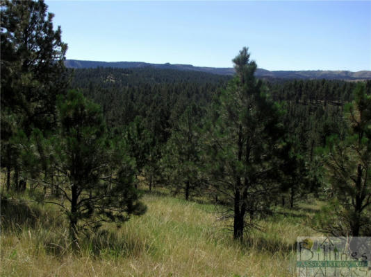 21 SMITH TRL, ROUNDUP, MT 59072 - Image 1