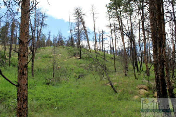 TBD DEER LANE, ROUNDUP, MT 59072, photo 2 of 36