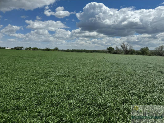 TBD COUNTY ROAD 126, SIDNEY, MT 59270 - Image 1