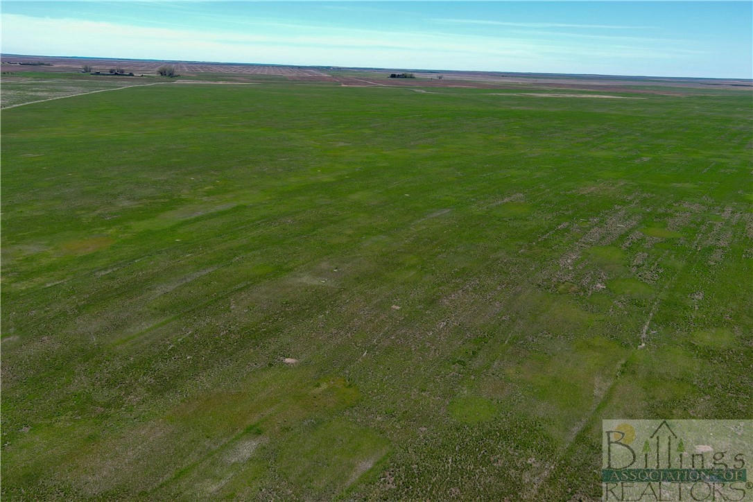 NHN '780 +/- ACRES' CHICOINE SCOBEY, MT ROAD, OTHER-SEE REMARKS, MT 59253, photo 1 of 30