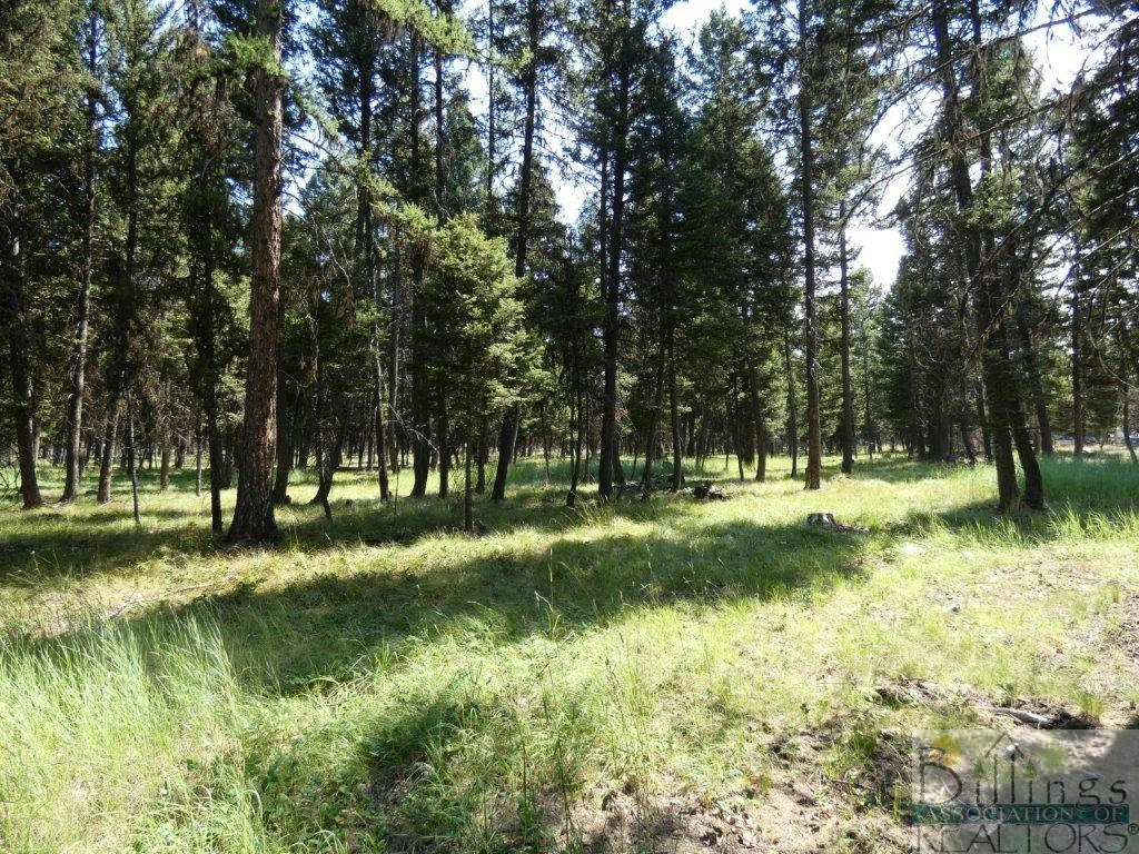 3214 HWY 83, SEELEY LAKE, OTHER-SEE REMARKS, MT 59868, photo 1 of 10