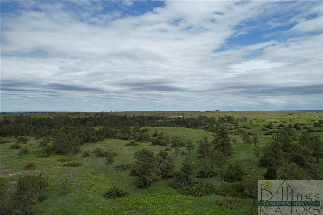 TBD MUSSELSHELL TRAIL ROAD, LEWISTOWN, MT 59457, photo 1 of 36