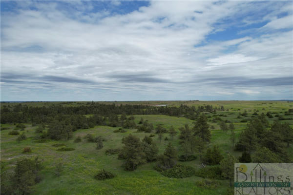TBD MUSSELSHELL TRAIL ROAD, LEWISTOWN, MT 59457 - Image 1